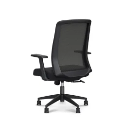 Link Mesh-Back Office Chair