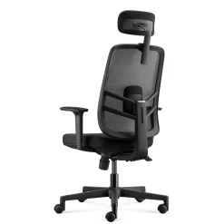 Lira Ergonomic Mesh Back Office Chair with Headrest