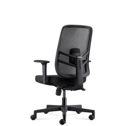 Lira Mesh-Back Ergonomic Office Chair