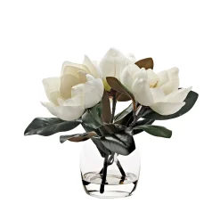Magnolia Stems in Vase
