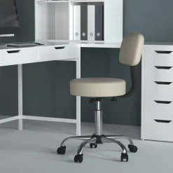 Medical/Spa Professional Adjustable Stool with Back