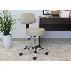 Medical/Spa Professional Adjustable Stool with Back