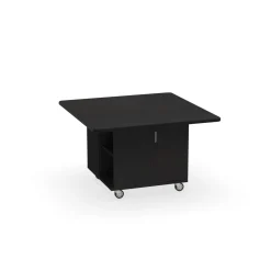 Mini Nucleus Workstation- 48
