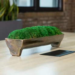 Moss Centerpiece Accent