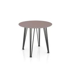 Newhouse Round Table 48