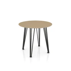 Newhouse Round Table 48