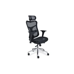 Rand All-Mesh Ergonomic Office Chair with Headrest