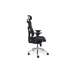 Rand All-Mesh Ergonomic Office Chair with Headrest