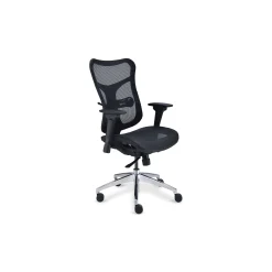 Rand Ergonomic Mesh Executive Office Chair