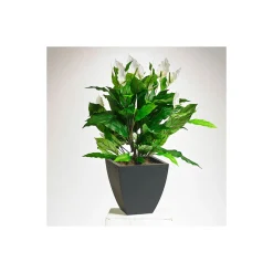 Realistic White Peace Lily Plant - 3 Ft.