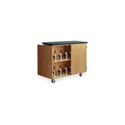 Rolling Microscope Storage Cabinet