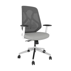 Roswell Ergonomic Office Chair with Modern Design