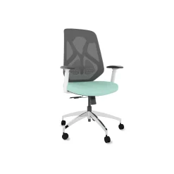 Roswell Ergonomic Office Chair with Modern Design