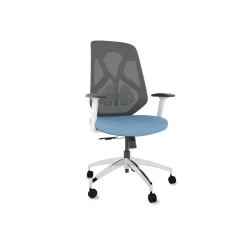 Roswell Ergonomic Office Chair with Modern Design