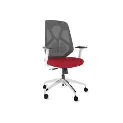 Roswell Ergonomic Office Chair with Modern Design