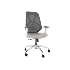 Roswell Ergonomic Office Chair with Modern Design