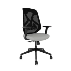 Roswell Ergonomic Task Chair with Modern Design-Black/Black