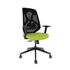 Roswell Ergonomic Task Chair with Modern Design-Black/Black