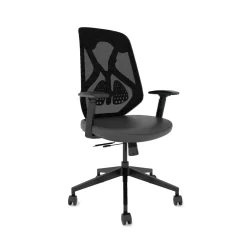 Roswell Ergonomic Task Chair with Modern Design-Black/Black