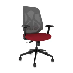 Roswell Ergonomic Task Chair with Modern Design-Black/Grey