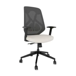 Roswell Ergonomic Task Chair with Modern Design-Black/Grey