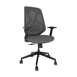 Roswell Ergonomic Task Chair with Modern Design-Black/Grey