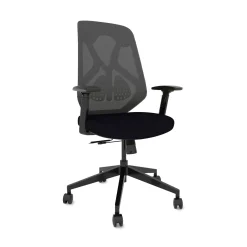Roswell Ergonomic Task Chair with Modern Design-Black/Grey