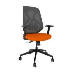 Roswell Ergonomic Task Chair with Modern Design-Black/Grey