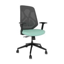 Roswell Ergonomic Task Chair with Modern Design-Black/Grey