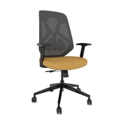 Roswell Ergonomic Task Chair with Modern Design-Black/Grey