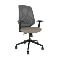 Roswell Ergonomic Task Chair with Modern Design-Black/Grey