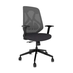 Roswell Ergonomic Task Chair with Modern Design-Black/Grey