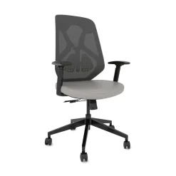 Roswell Ergonomic Task Chair with Modern Design-Black/Grey