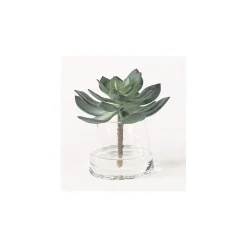Sage Succulent Accent - 7"