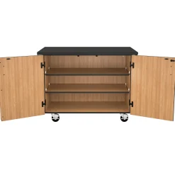 Science Lab Cabinet Shelving