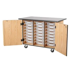 Science Lab Cabinet with Tote Trays