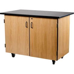 Science Lab Cabinet with Inner Drawers