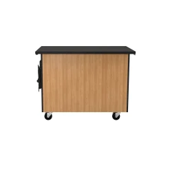 Science Lab Cabinet with Inner Drawers