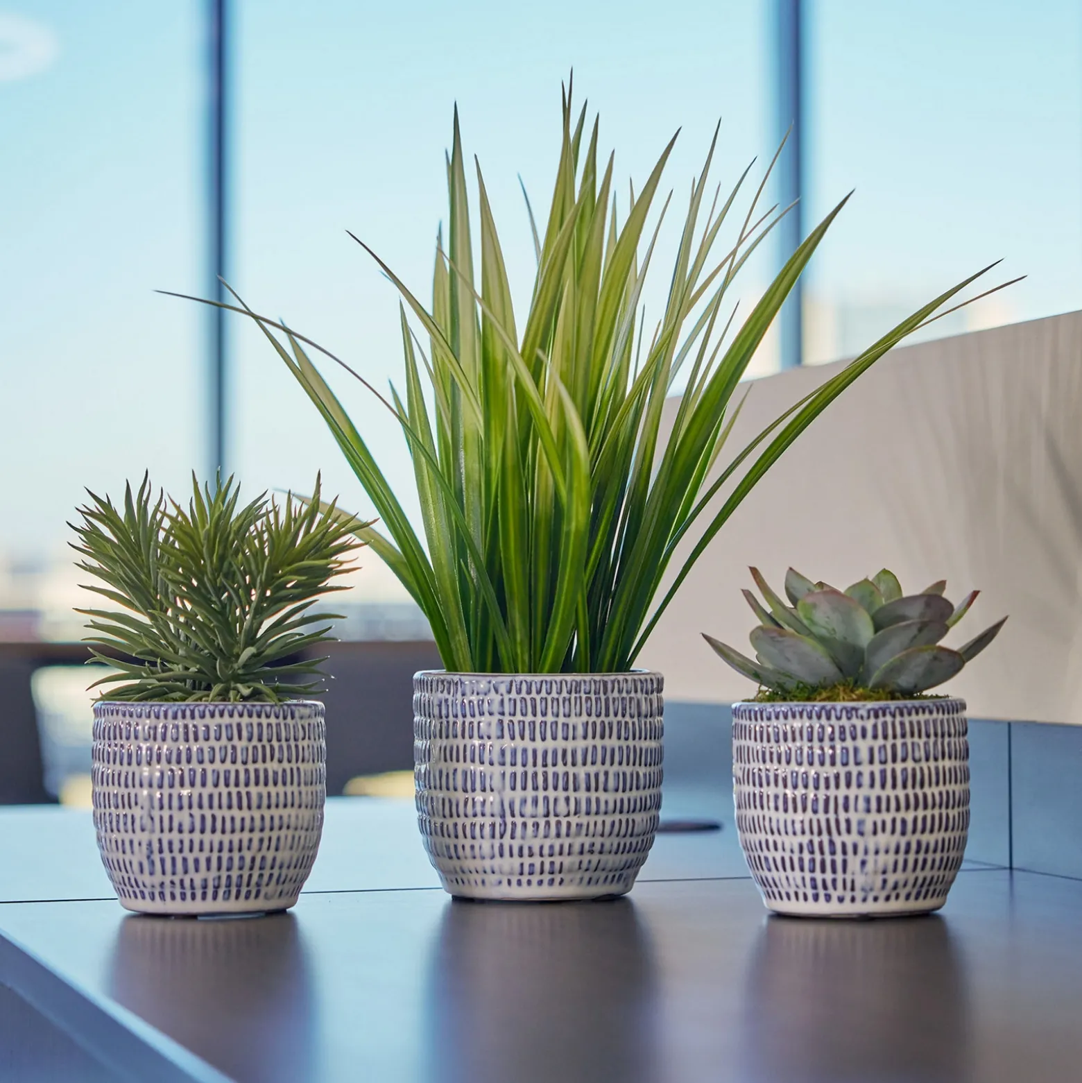 Shrub Decorative Pots, Set of Three