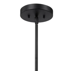 Signature Accents Domed Pendant Light