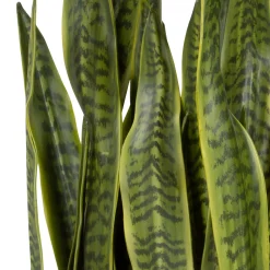 Snake Plant in Brass Planter