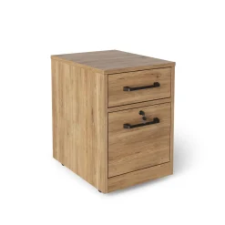 Trenton 2-Drawer Mobile File Pedestal – 16