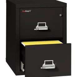 Two Drawer Fireproof Letter Size Vertical File - 25