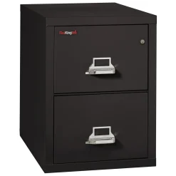 Two Drawer Fireproof Letter Size Vertical File - 31