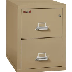 Two Drawer Fireproof Letter Size Vertical File - 31