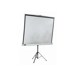 Vision Projection Screen, Motorized - 50"x50"