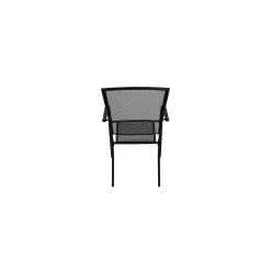 Willow Indoor/Outdoor Chair