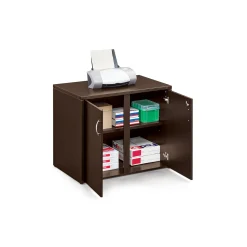 Wood Grain Laminate Storage Cabinet