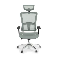 Zola Mesh High-Back Office Chair with Removable Headrest